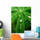 Goutte Feuille Wall Decal
