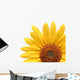 Sunflower Over White Wall Decal