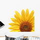 Sunflower Over White Wall Decal