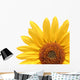 Sunflower Over White Wall Decal
