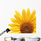 Sunflower Over White Wall Decal