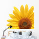 Sunflower Over White Wall Decal