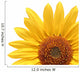 Sunflower Over White Wall Decal
