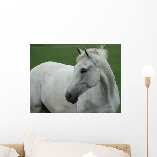 White Horse Wall Decal