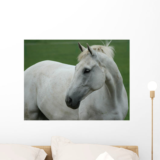 White Horse Wall Decal