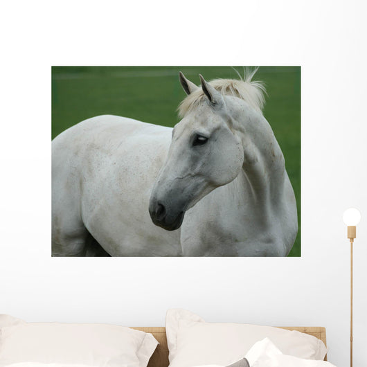 White Horse Wall Decal