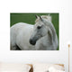 White Horse Wall Decal