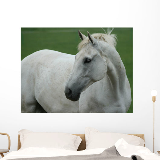 White Horse Wall Decal