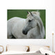 White Horse Wall Decal
