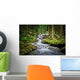 Falls Wood Mountain River Wall Mural