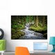 Falls Wood Mountain River Wall Mural