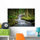 Falls Wood Mountain River Wall Mural