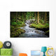 Falls Wood Mountain River Wall Mural