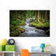 Falls Wood Mountain River Wall Mural