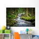 Falls Wood Mountain River Wall Mural