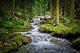 Falls Wood Mountain River Wall Mural