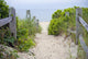 Cape Cod Beach Pathway