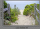 Cape Cod Beach Pathway
