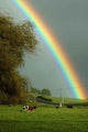 Rural Rainbow Wall Decal