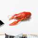 Boiled crawfish Wall Decal