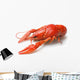 Boiled crawfish Wall Decal