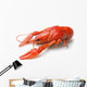 Boiled crawfish Wall Decal