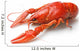 Boiled crawfish Wall Decal