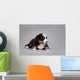 Bernese Mountain Dog Puppy Wall Decal
