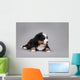 Bernese Mountain Dog Puppy Wall Decal