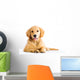 cute young golden retriever dog Wall Decal