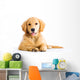 cute young golden retriever dog Wall Decal