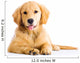 cute young golden retriever dog Wall Decal