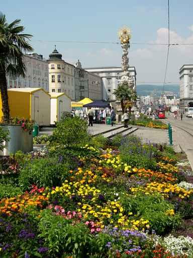 Linz Et Sa Place Wall Decal