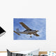 avion Wall Mural