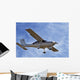 avion Wall Mural