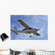 avion Wall Mural