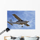avion Wall Mural