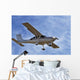 avion Wall Mural