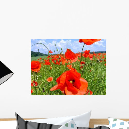 Klatschmohn Wall Decal