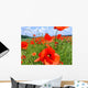 Klatschmohn Wall Decal