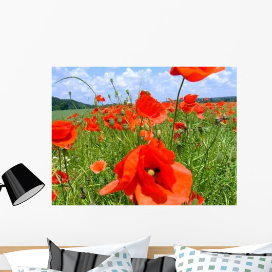 Klatschmohn Wall Decal