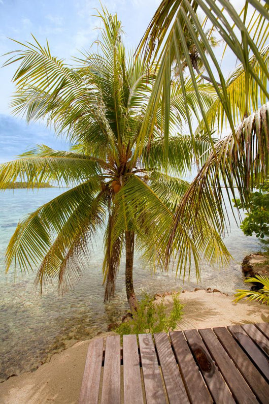 Tropical Beach