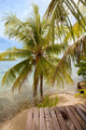 Tropical Beach