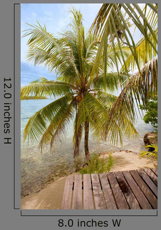 Tropical Beach