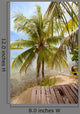 Tropical Beach