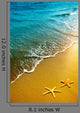 Starfish Beach Sand