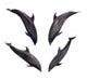 Four Jumping Dolphins Wall Decal