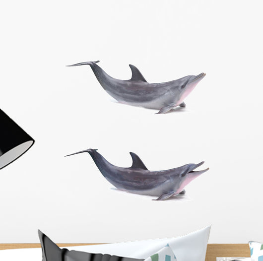 Two Dolphins Breached Wall Decal