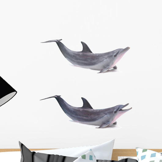 Two Dolphins Breached Wall Decal