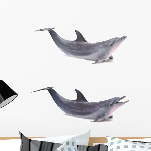 Two Dolphins Breached Wall Decal